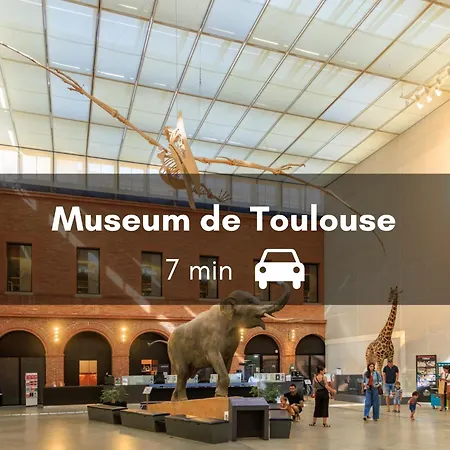 Le Canal Ocre - Netflix - Parking Couvert Lejlighed Toulouse