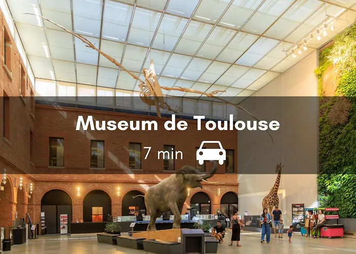 Le Canal Ocre - Netflix - Parking Couvert アパート トゥールーズ